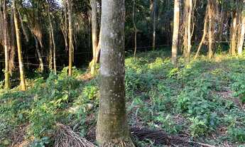 Imagem 6: Terreno - 1.645,30 m² - Santana de Parnaíba / SP