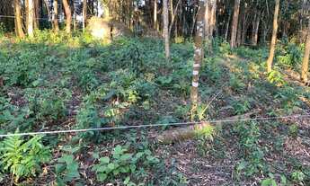 Imagem 5: Terreno - 1.645,30 m² - Santana de Parnaíba / SP