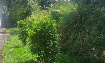 Imagem 4: OPORTUNIDADE!!! CASA - 02 DORMS - VILA JOVINA - COTIA/SP