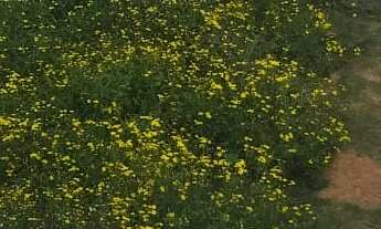 Imagem 7: CASA - 03 DORMS - COND. RECANTO DOS ALPACAS - JD DO ENGENHO - COTIA/SP