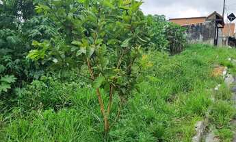 Imagem 2: Oportunidade !!! Terreno com 294m2 - Jardim Barro Branco - Cotia/SP