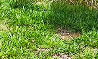 Imagem 3: TERRENO 25X5 - Vitta Granja Viana - COTIA/SP