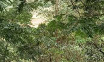 Imagem 7: Apartamento 3 dormitórios - Condomínio Costa Verde - Jardim Caiapiá- Cotia/SP