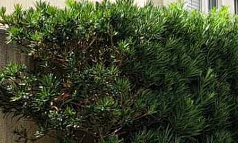 Imagem: Apartamento com 02 dormitórios - Residencial