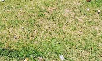 Imagem 3: Terreno 128 m²- Residencial Terra Nobre - Granja Vianna - Cotia / SP