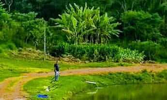 Imagem 7: Chácara com 193.600m² - Bairro da Cachoeira - Cotia/SP