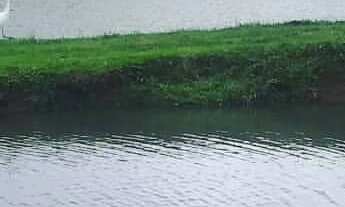 Imagem 4: Chácara com 193.600m² - Bairro da Cachoeira - Cotia/SP