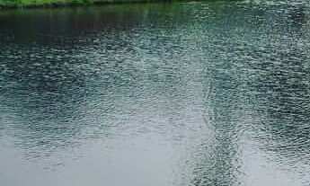 Imagem: Chácara com 193.600m² - Bairro da Cachoeira