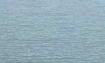 Imagem 3: Chácara com 193.600m² - Bairro da Cachoeira - Cotia/SP