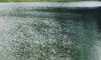 Imagem 2: Chácara com 193.600m² - Bairro da Cachoeira - Cotia/SP