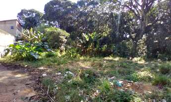 Imagem 4: Terreno com 5.700m² - Nhambuca - Cotia/SP