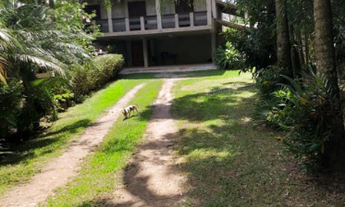 Imagem 2: Chácara com 22.000m² - Aguassaí - Cotia/SP