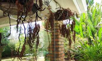 Imagem 3: Casa com 04 Quartos - Granja Viana - Cotia/SP