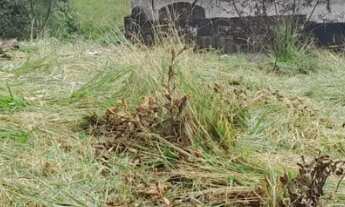 Imagem 1: Terreno com 200m² - Jardim Petrópolis - Cotia/SP