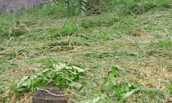 Imagem 2: Terreno com 200m² - Jardim Petrópolis - Cotia/SP