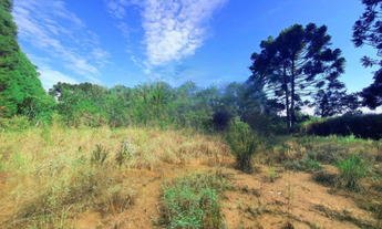 Imagem 5: Chácara com 2.000m² - Ibiúna/SP