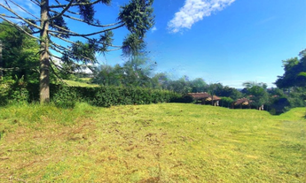 Imagem 6: Chácara com 2.000m² - Ibiúna/SP