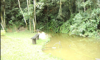 Imagem 2: Casa com 4 dormitórios - Quinta da Cachoeira - Cotia/SP