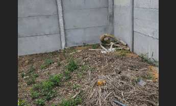 Imagem 2: Terreno a venda inserido em um grupo fechado de moradores