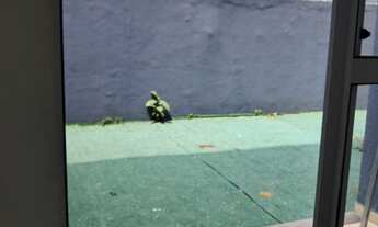 Imagem 5: APARTAMENTO PARA LOCAÇÃO – CONDOMÍNIO JARDIM EUROPA II