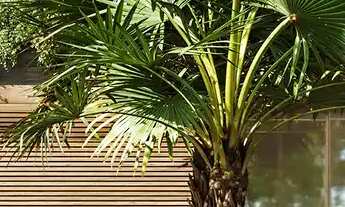 Imagem 7: Apartamento à venda, no Brickell, em Belo Horizonte, Savassi, com 2 quartos, 77.66m²