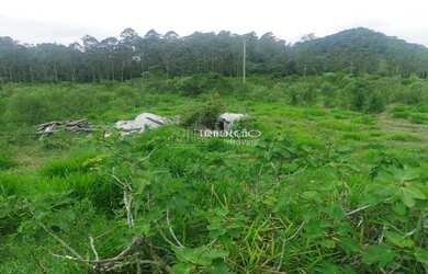 Imagem 6: SÍTIO à venda, 3 vagas, CORREIA DE ALMEIDA - BARBACENA/MG