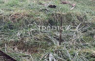 Imagem 4: TERRENO à venda, CHÁCARA DAS ANDORINHAS - BARBACENA/MG