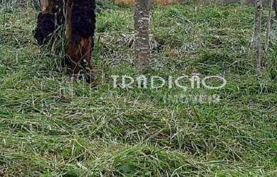 Imagem 2: TERRENO à venda, CHÁCARA DAS ANDORINHAS - BARBACENA/MG