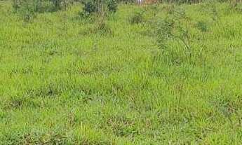 Imagem 4: TERRENO à venda, VALE DO IPÊ - ANTÔNIO CARLOS/MG