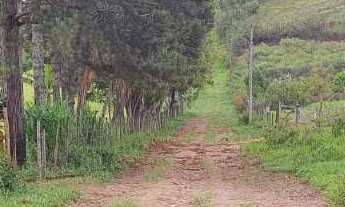 Imagem 5: TERRENO à venda, VALE DO IPÊ - ANTÔNIO CARLOS/MG