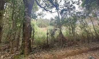 Imagem 2: TERRENO à venda, ARAÚJO - ALFREDO VASCONCELOS/MG