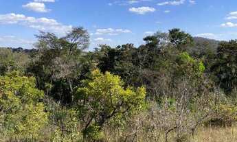 Imagem 3: Lote à venda no bairro Pinheiros