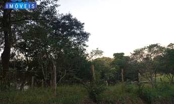 Imagem 2: Lote à venda no bairro Areias de Baixo