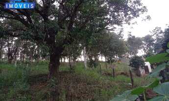 Imagem 4: Lote à venda no bairro Areias de Baixo