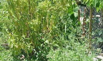 Imagem 3: Lote à venda no bairro Veneza