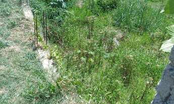 Imagem 7: Lote à venda no bairro Veneza