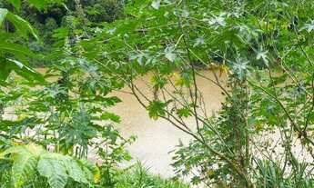 Imagem 5: Sítio À Venda Na Região de Taquaras - Área Rural de Esmeraldas