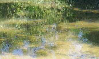 Imagem 4: CHÁCARAS COM 1.000M² EM CORDISBURGO-MG!