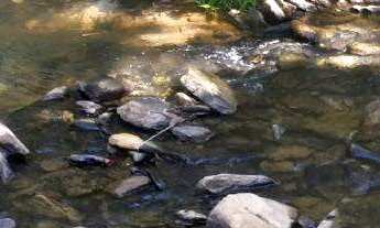 Imagem 7: CHÁCARAS COM 1.000M² EM CORDISBURGO-MG!