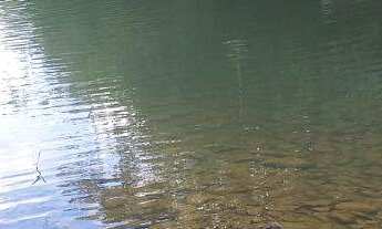 Imagem: CHÁCARAS COM 1.000M² EM CORDISBURGO-MG!