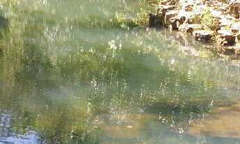 Imagem 6: CHÁCARAS COM 1.000M² EM CORDISBURGO-MG!