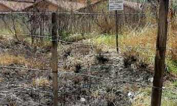 Imagem 2: Terreno à venda no bairro Veneza