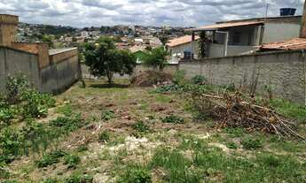 Imagem 7: Terreno à venda no bairro Veneza
