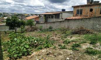Imagem 6: Terreno à venda no bairro Veneza