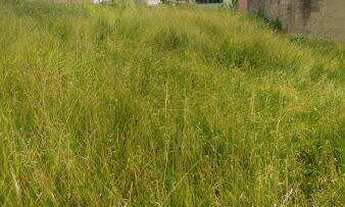 Imagem 6: Terreno à venda no bairro Veneza