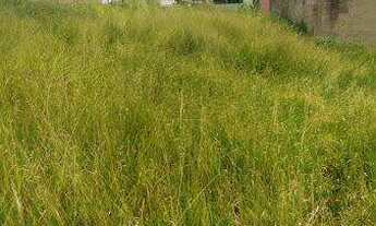 Imagem 6: Terreno à venda no bairro Veneza