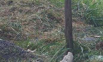 Imagem: Terreno à venda no bairro Veneza