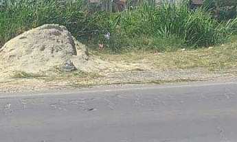 Imagem 6: Terreno à venda no bairro Veneza