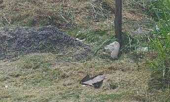 Imagem 2: Terreno à venda no bairro Veneza