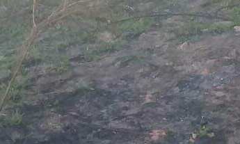 Imagem: Terreno à venda no bairro San Genaro